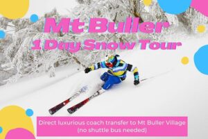 mt buller in winter day trip