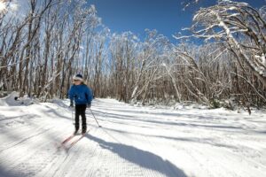 Lake Mountain Snow Trip cross country skiing